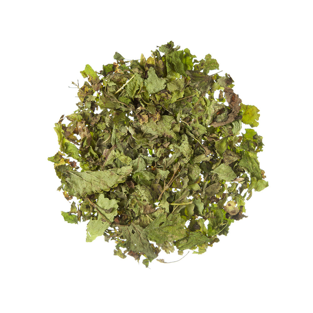 Melisa cytrynowa organiczna. 50g